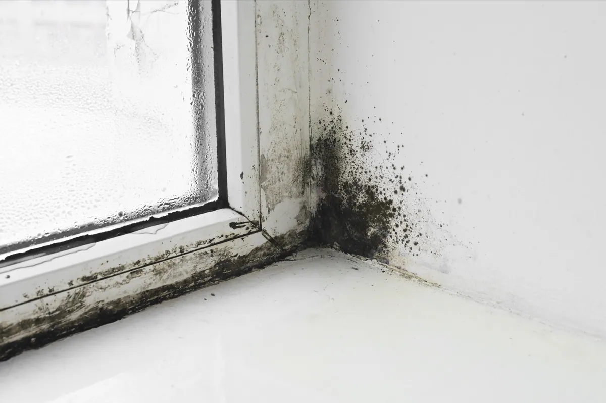 Understanding Toxic Exposure Tort